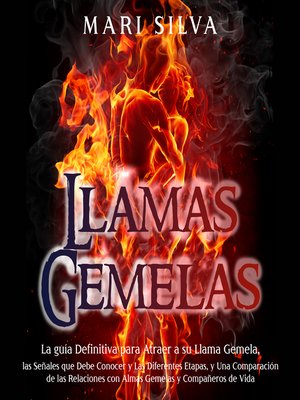 cover image of Llamas Gemelas